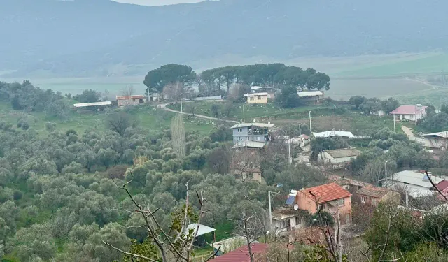 Tire'deki yol yapımında planı son anda değiştirdiler: Yüzlerce ağaç kesilecek