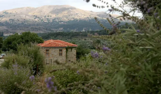 Ege'nin en şirin köylerinden biri: Kışın 60 kişi yaşıyor, herkes bu köye kahve içmeye gidiyor