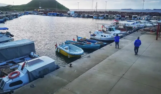 Aliağa'da balıkçılardan tepki: 15 gün arayla yüzde 100'den fazla zam