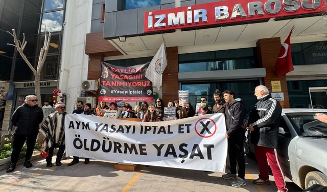 İzmir'de sokak hayvanları tepkisi: Bu kan kokan yasa iptal edilmeli