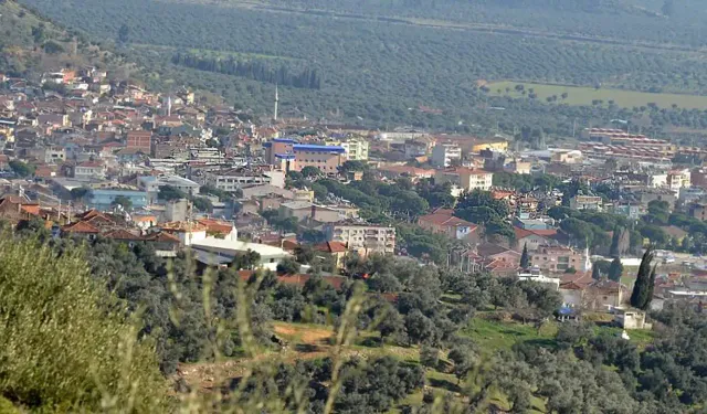 İzmir'in çiçekleriyle ünlü ilçesi: Bayındır