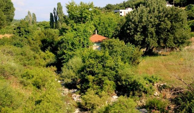 İzmir’de kuş sesleri eşliğinde huzurla kahvaltı yapabileceğiniz köy: Çiçekli köyü