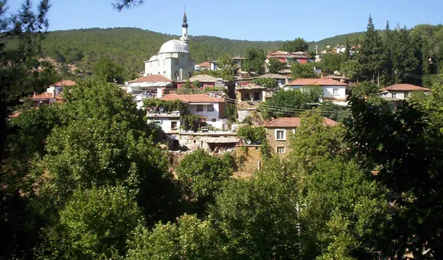 İzmir'de şifa arayan bu köye gidiyor: Doğal güzellikleri büyülüyor, suyu böbrek taşını düşürüyor