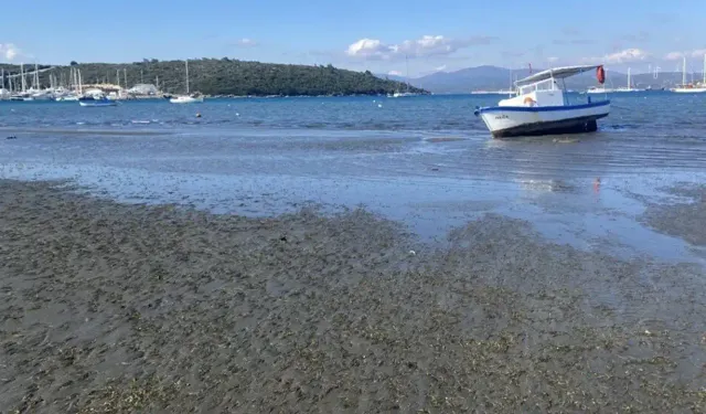 İzmir'de panik yaratan görüntü: Uzman isim açıklama yaptı