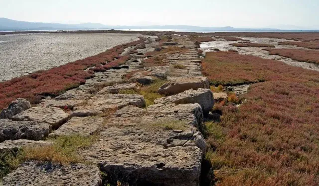 İzmir'de bir zamanlar ihtişamlı bir kentti: Şimdi geriye sadece taş parçaları kaldı