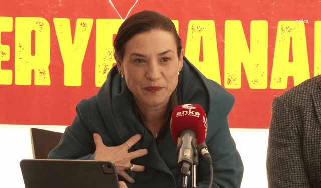 Meryemana Otoparkı davasında son durum: Birlikte olunmadığı sürece yalnız yürüyenleri kurtlar kapar!