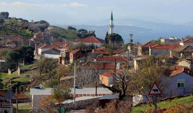 İzmir'in bu köyünde zeytinyağsız yemek yapılmaz: Sağlık, huzur ve sakinlik burada