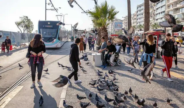 İzmirlilerden Bahçeli'ye soğuk duş: Yüzde 52 olumsuz buldu