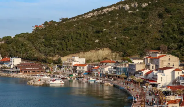 Karaburun'da icradan satılık zeytin ağaçlı tarla