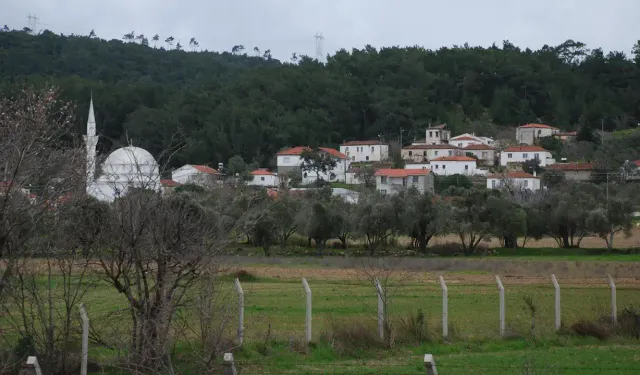 İzmir'e 40 dakika uzaklıkta bir köy: 600 yıllık çınar ağacı ve ormana yakınlığı ile ilgi görüyor