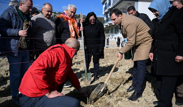 İzmir'in coğrafi işaretli ürünü can bulacak: Bornova'da yerel üreticilerle iş birliği