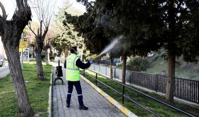 Balçova'da haşerelere karşı seferberlik: İlaçlama çalışmaları başladı