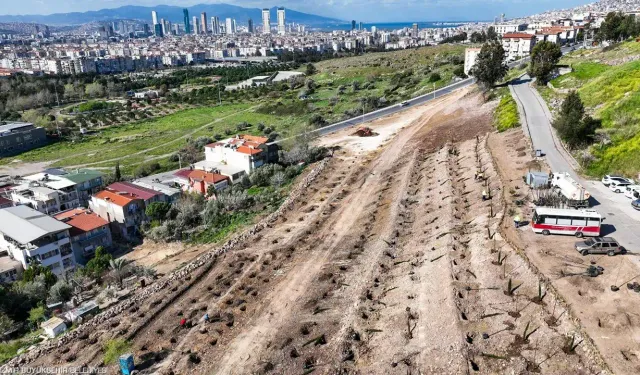 İzmir yemyeşil olacak: Yeni bir orman daha