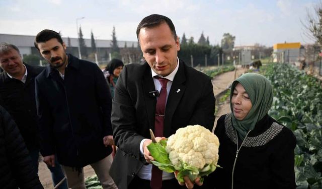 Bornova’dan tarım destek paketi: Fide dağıtımı ve festivaller