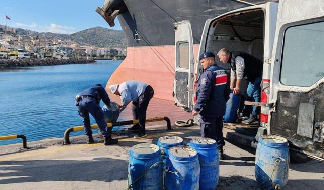 Dikili’de kaçak avcılık: 600 kilogram deniz patlıcanı serbest bırakıldı