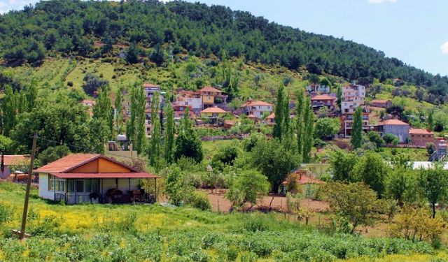 İzmir'in doğa cenneti köyü: Üstelik buraya ESHOT'la kolayca ulaşabilirsiniz