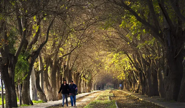 İzmir'de yürüyebileceğiniz en güzel yol: Kuş cıvıltıları ve harika manzara size eşlik edecek