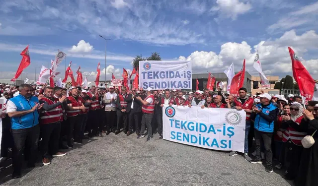 İzmir'deki üç fabrika 19 gündür grevde: Tekgıda-İş Sendikası'ndan kamuoyuna çağrı