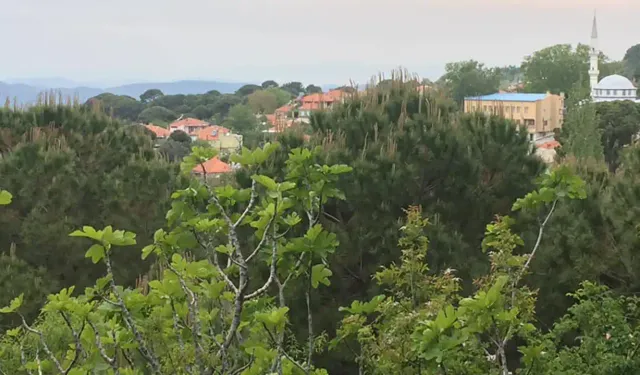 İzmir'de doğanın kucağında bir köy: Mis gibi havasıyla ziyaretçilerinin başını döndürüyor