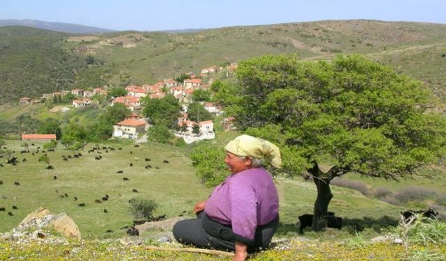 Çevrecilerden Karaburun'daki GES projesine itiraz: Bu yıkıma izin vermeyeceğiz!