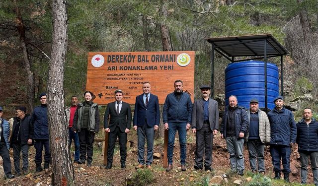 İzmir’de bal ormanı açıldı: Kemalpaşa’da arıcılık için yeni dönem!