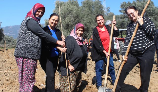 Ödemiş’te kadın üreticilere destek: 410 dut fidanı toprakla buluştu