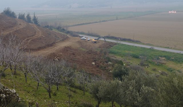 Tire'de ağaç kıyımına karşı ortak ses: Ekmek paramızı kesmesinler!