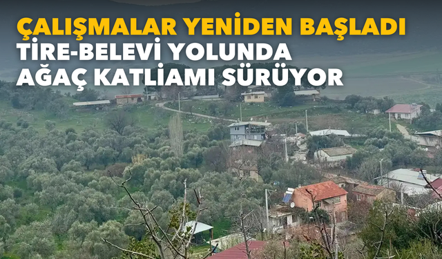 Çalışmalar yeniden başladı: Tire-Belevi yolunda ağaç katliamı sürüyor