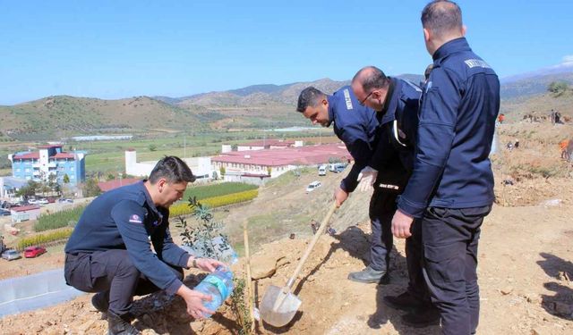 İzmir'de çevreci proje: 4 bin zeytin fidanı dikildi