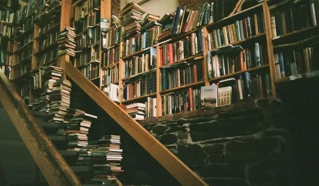 Kitap sayfamızda bu hafta: Felaket annelerle paylaşılmaz!