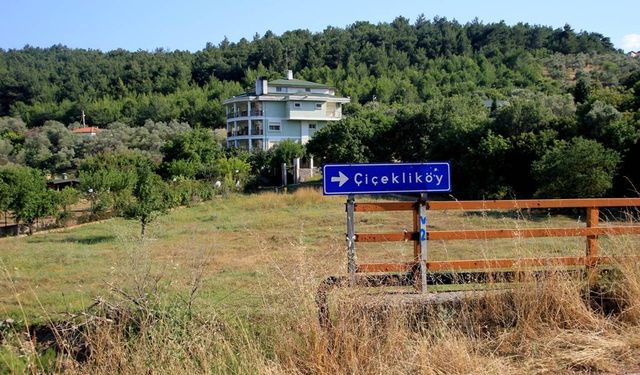 İzmir'e 20 dakika uzaklıkta bir doğa harikası: Çiçekliköy nerede, nasıl gidilir?