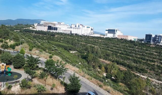 Doğa tutkunlarının yeni gözdesi: Barış Manço Ormanı nerede? Nasıl gidilir?