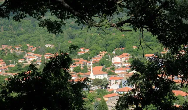 Meşe ve çam ormanları arasında eşsiz bir güzellik: Yazın serinlemek ve piknik yapmak isteyenlerin akınına uğruyor