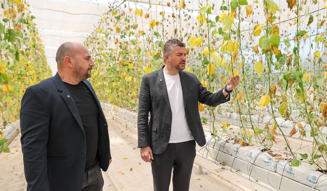 Buca'nın serasına sabotaj: Üç kent lokantasının 6 aylık yemeği yok oldu