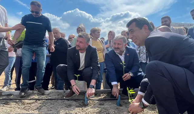 Buca'da belediye serasını tuz dökerek kuruttular: Bu saldırı saf bir kötülüktür