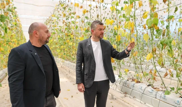 Buca’nın serasına sabotaj yapılmıştı: CHP’li isimden tepki