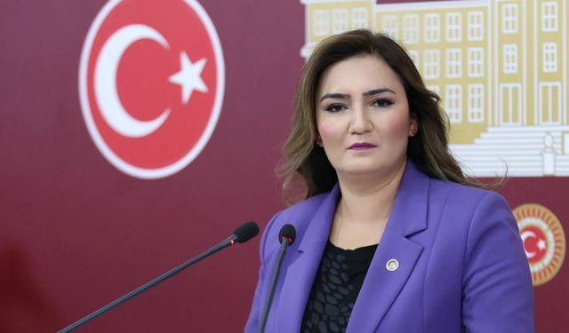 CHP’li Sevda Erdan Kılıç’tan 'öldü' iddialarına sert tepki