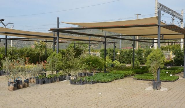 Doğal tarıma yerli destek: Efes Selçuk’tan örnek proje
