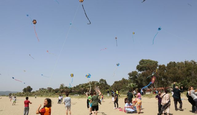 İzmir'de uçurtmalar engelsiz gökyüzü için yükseldi