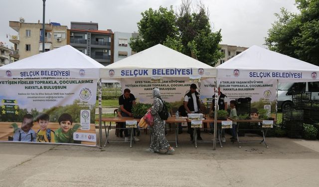 Toprak bu kez umut verdi: Efes’te fideler yardım için satıldı
