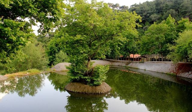 Homeros Vadisi’nde bahar renkleri: İzmir’in kalbinde doğayla buluşma noktası