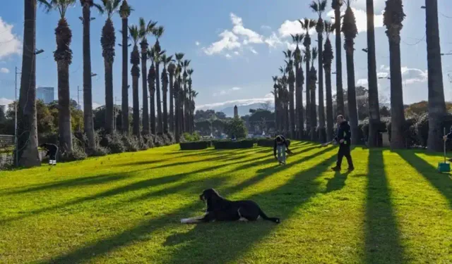 İzmir'e yeşil koridor geliyor: Kültürpark ve Yeşildere birleşecek