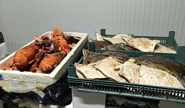 İzmir’de usulsüz avcılığa geçit yok: Cezalar peş peşe geldi