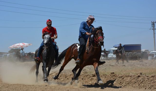 İzmir'de at yarışı heyecanı: Torbalı Geleneksel Rahvan At Yarışları başlıyor