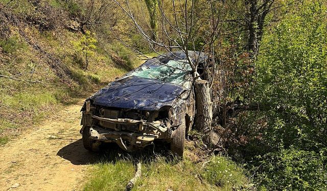 Fidan dikmeye gidiyorlardı: Ödemiş’te kamyonet şarampole devrildi