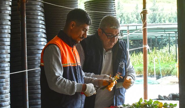 İzmir'de doğayla iç içe çalışma: Parklar ve bahçeler hayat buluyor
