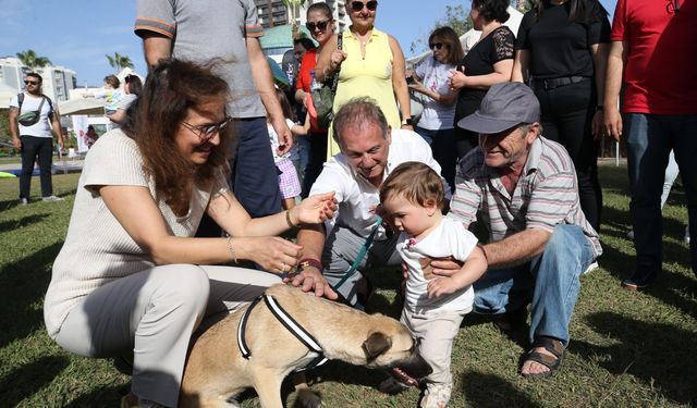 Karşıyaka’da can dostlar için Yaza Merhaba Festivali