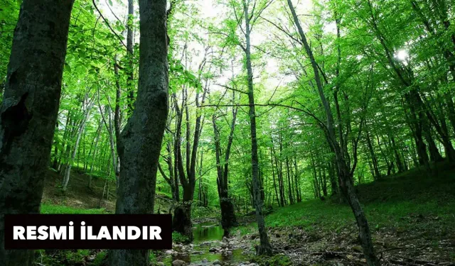 Suni Tensil Arazi Hazırlığı Hizmet Alımı