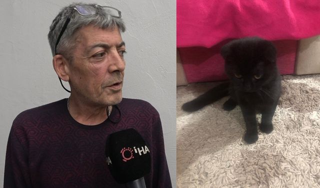 Sahipli kedi kuyruğundan tutularak çalındı: O anlar kamerada