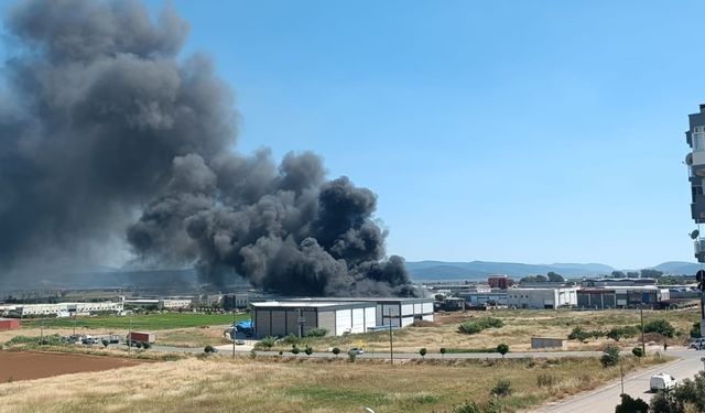 İzmir’de sandalye fabrikasında yangın: Müdahale sürüyor